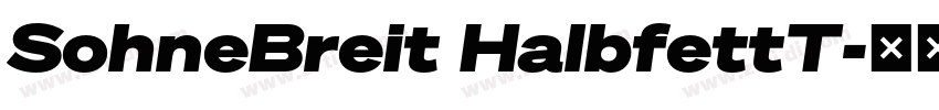 SohneBreit HalbfettT字体转换 SohneBreit HalbfettT字体转换